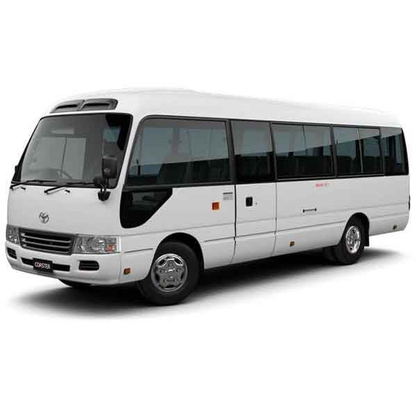 Mini Coach fleet option